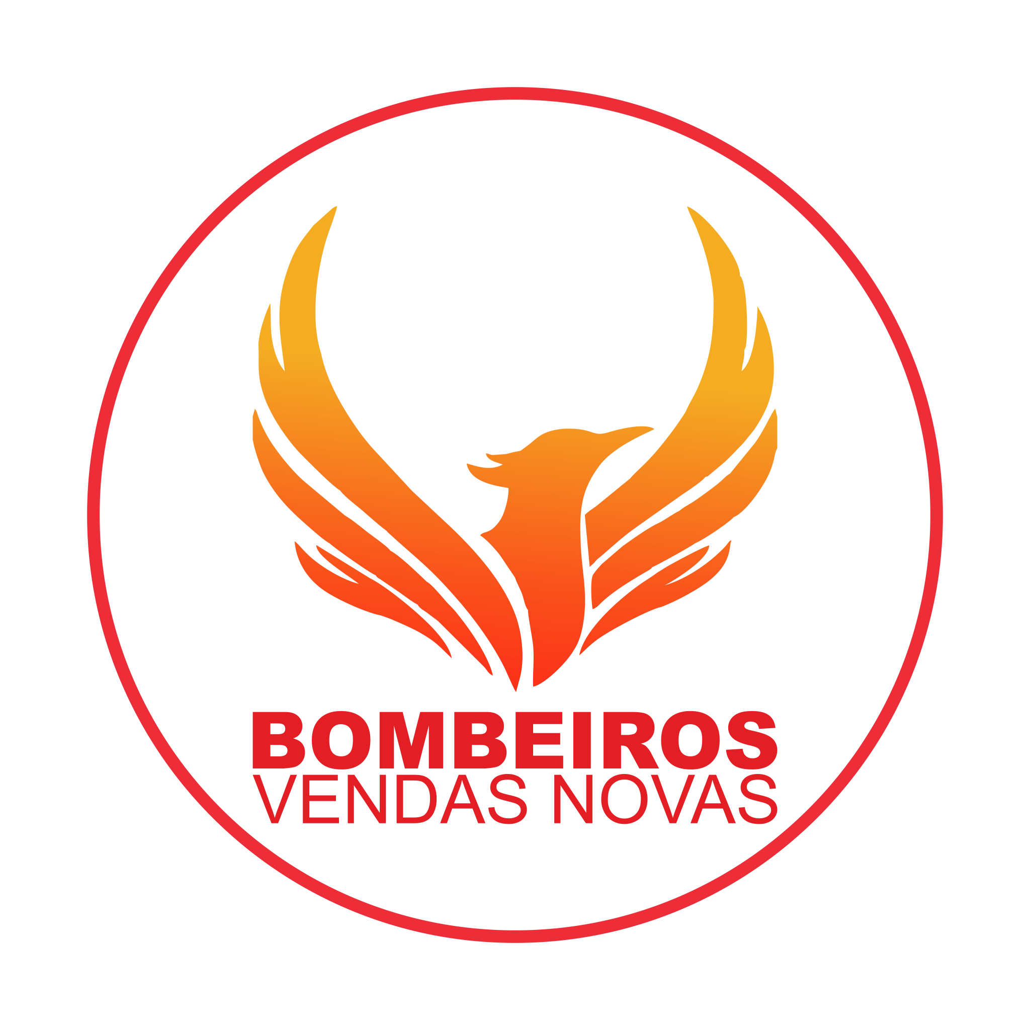 BVVN_FB_logos